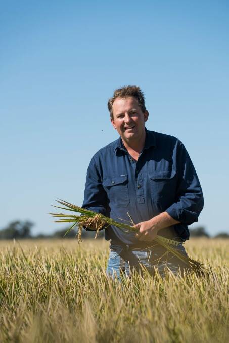 Ricegrowers' Association president Rob Massina.