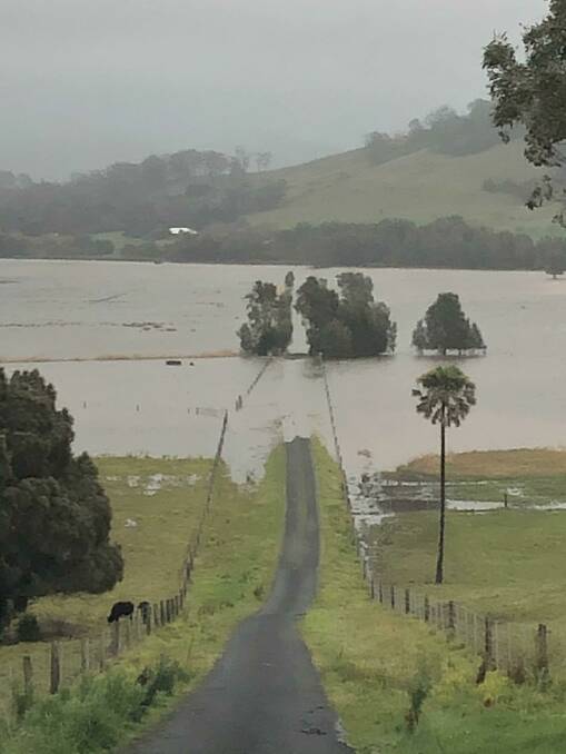 In August Cleary Brothers' Berry property received around 600mm of rain in a few days, flooding their flat country and forcing them to move stock to higher ground. 
