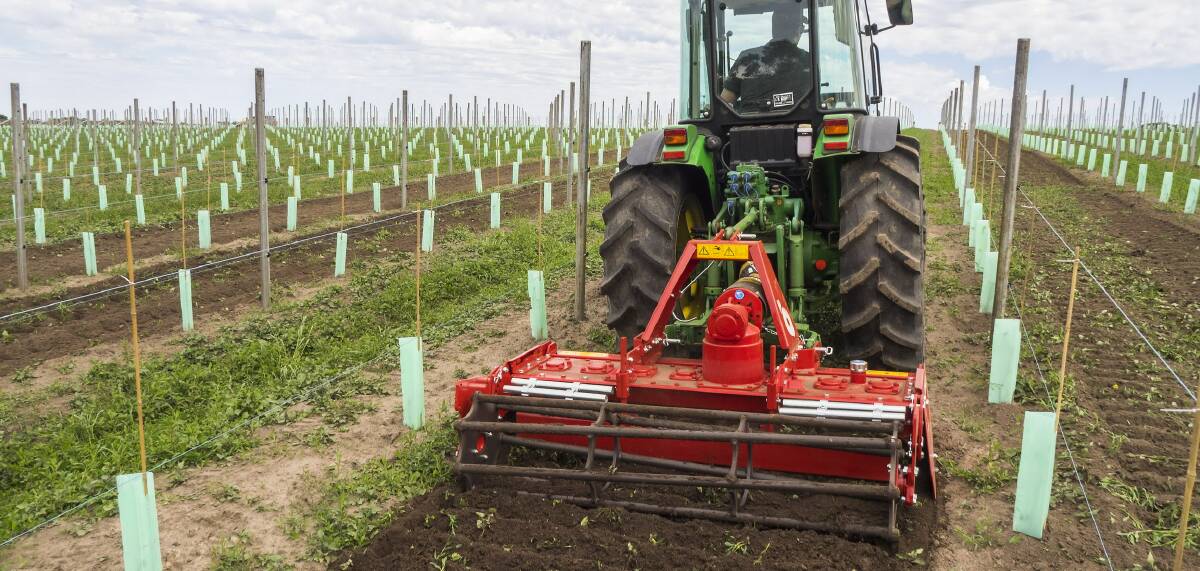 EFFECTIVE: The Breviglieri power harrow pulls the weeds and their tough root system right out of the ground to decompose.
