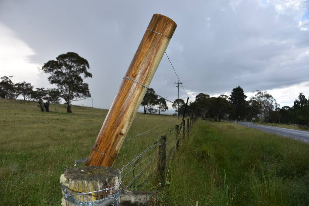 The $16,000 new fence Jim Cassilles built to stop town dogs from attacking his sheep. 