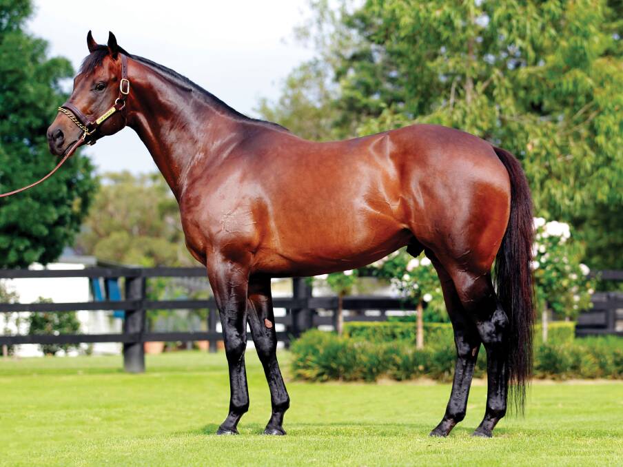 I Am Invincible, a good looking stallion for Winx.
