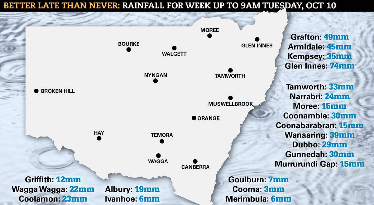 Widespread rain across NSW on Sunday and follow-up rain this week has buoyed hopes for summer cropping.