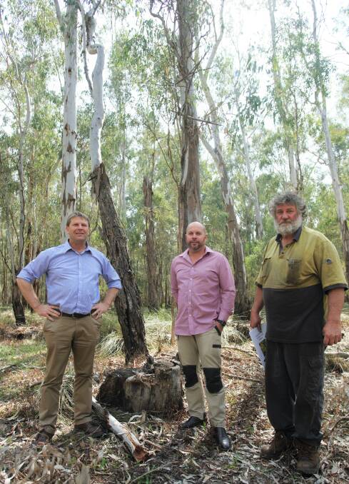 Murray Nationals candidate Austin Evans during a tour a local River Red Gum national park with sawmillers Ben Danckert and Chris Crump.