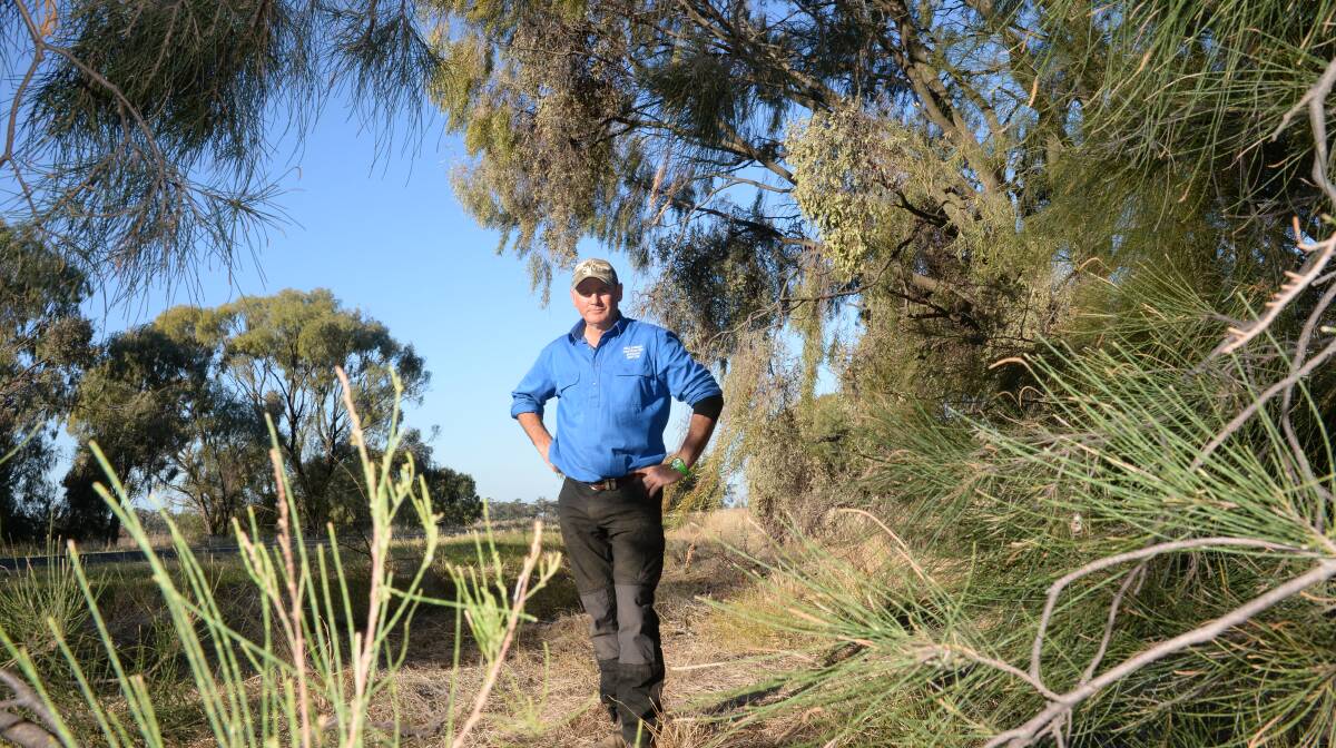 Hugh Beveridge, "Bullagreen", in the Armatree  road table drain he says in many areas hasn't  been cleaned out for 30 years. His paddocks, including on his other property, "Saratoga", flood when it rains because of the table drain wash. Photo by Rachael Webb.