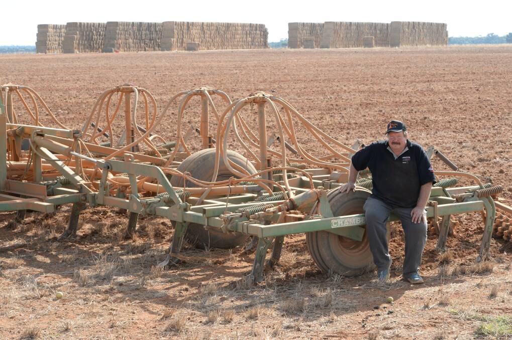David Harrison, "Nullawarra", Cobar back in May sowing his hay paddocks when things were looking bright. He's lost the whole crop and put stock on to it as temperatures soar above 40 degrees this weekend.