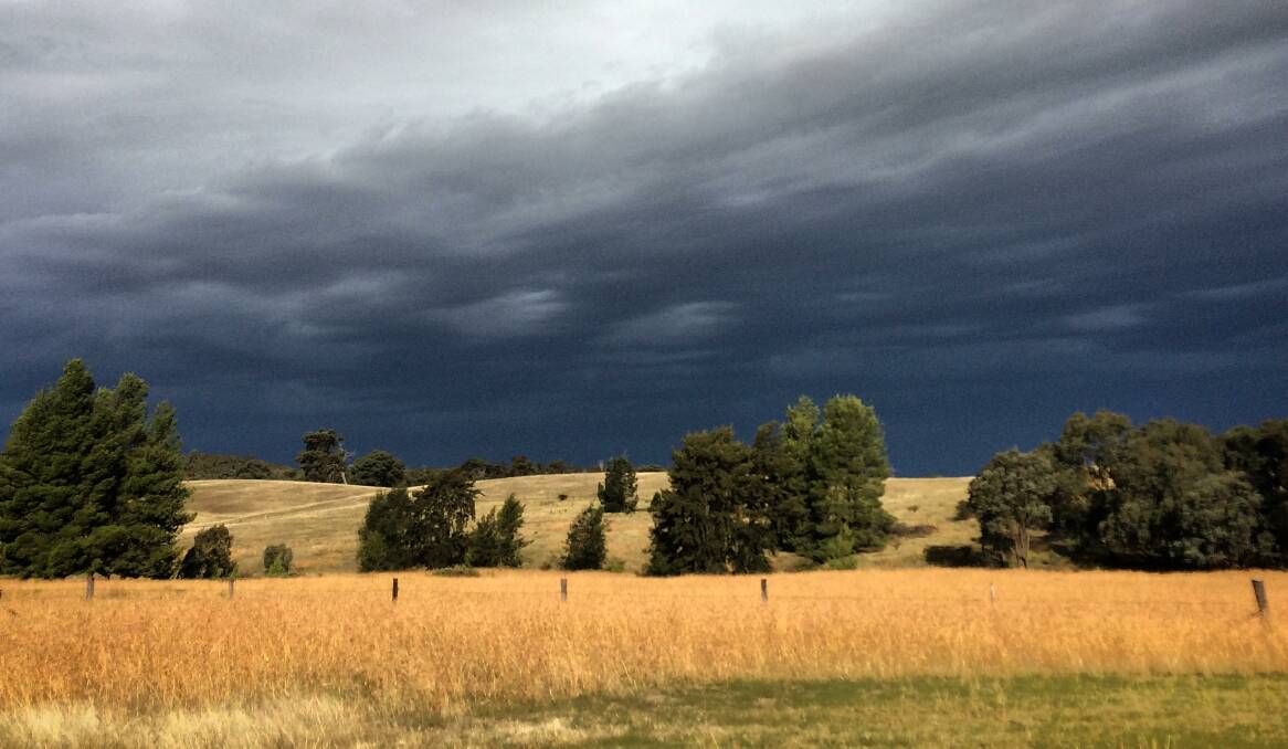 Dark clouds loom over a Riverina landscape. The area enjoyed some excellent falls as did the South-West Slopes, Cootamundra picking up more than 34mm on Tuesday. Soaking April rain fell across much of the state. Photo by The Land's Pennie Scott.