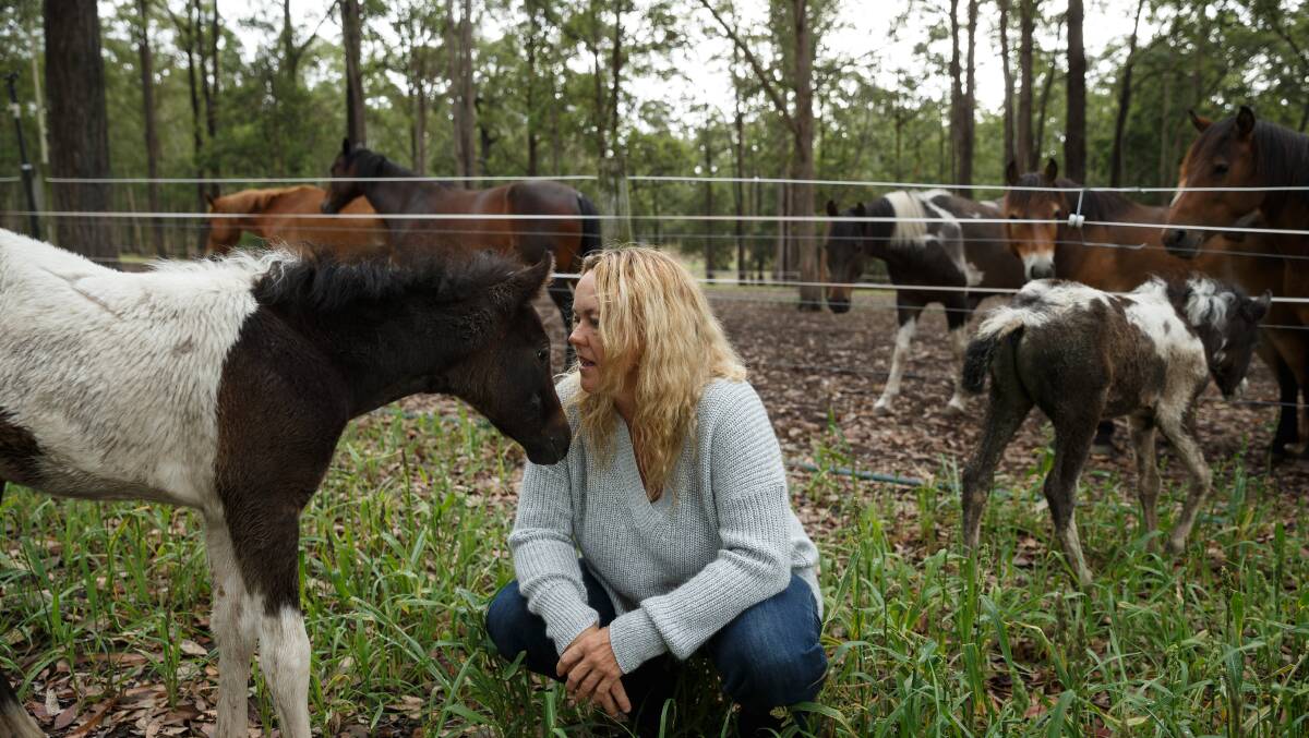 Kathy Massey, president of the Hunter Valley Brumby Association, with one of the Welsh ponies rescued from the Singleton Army base. Picture by Max Mason-Hubers.