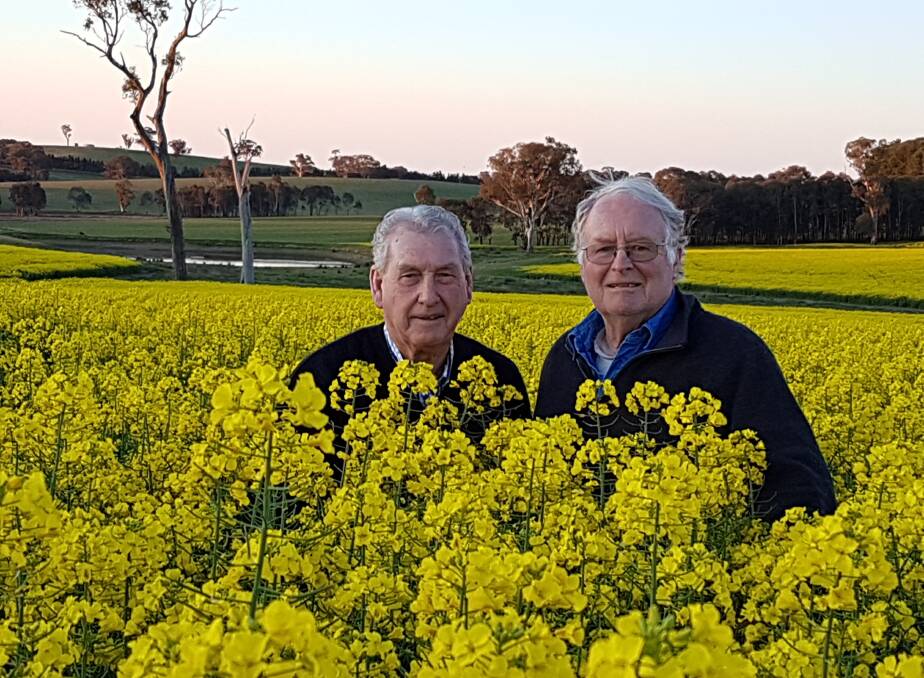 Frank Thompson of Thompsons Rural Supplies, Young, with Griff Evans, "Merryvale", Monteagle with Mr Evans' Mako canola crop which is expected to go 2-2.5kg a hectare. A gem amongst the carnage caused by frosts in NSW.