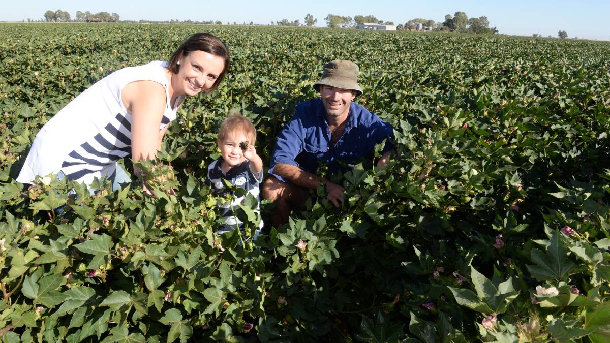 The Stotts, Dallas, Liz and their son Harvey, 2, in their Whitton cotton crop