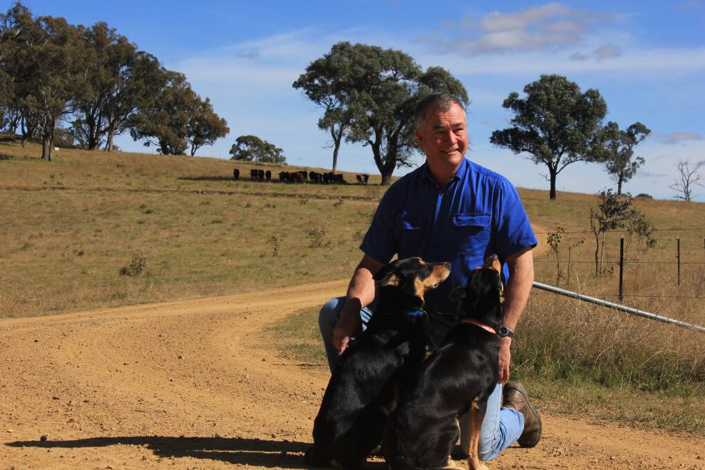 Newly elected Armidale councillor Simon Murray, former Guyra deputy mayor, with his dogs Hank and Brandy. Photo courtesy of Guyra Argus. Photo by Madeline Link.