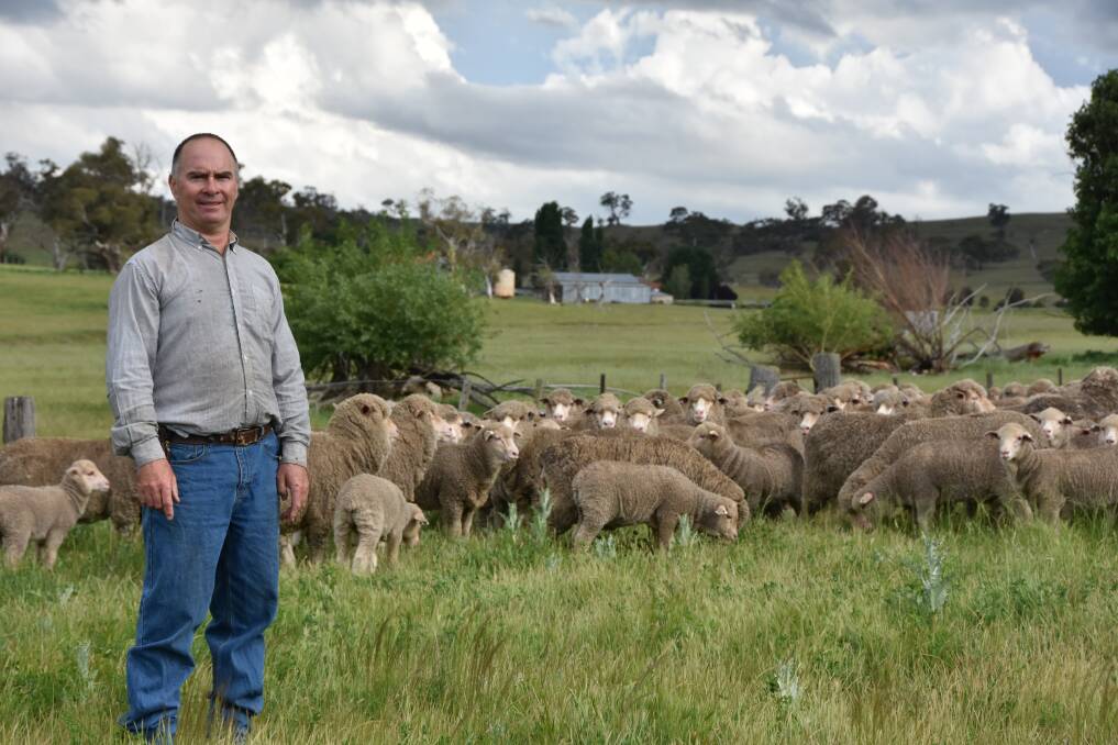 Farmer and woolgrower Jim Cassilles battles several issues to keep his fine merino flock from dangers on the property "Matong", near Cooma. 
