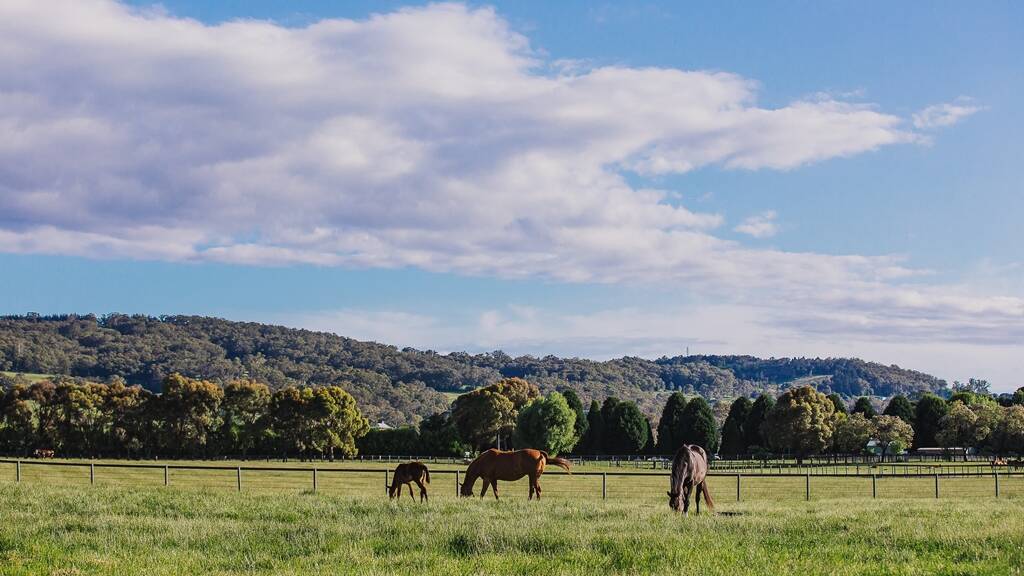 The property is near Moss Vale in the Southern Highlands.