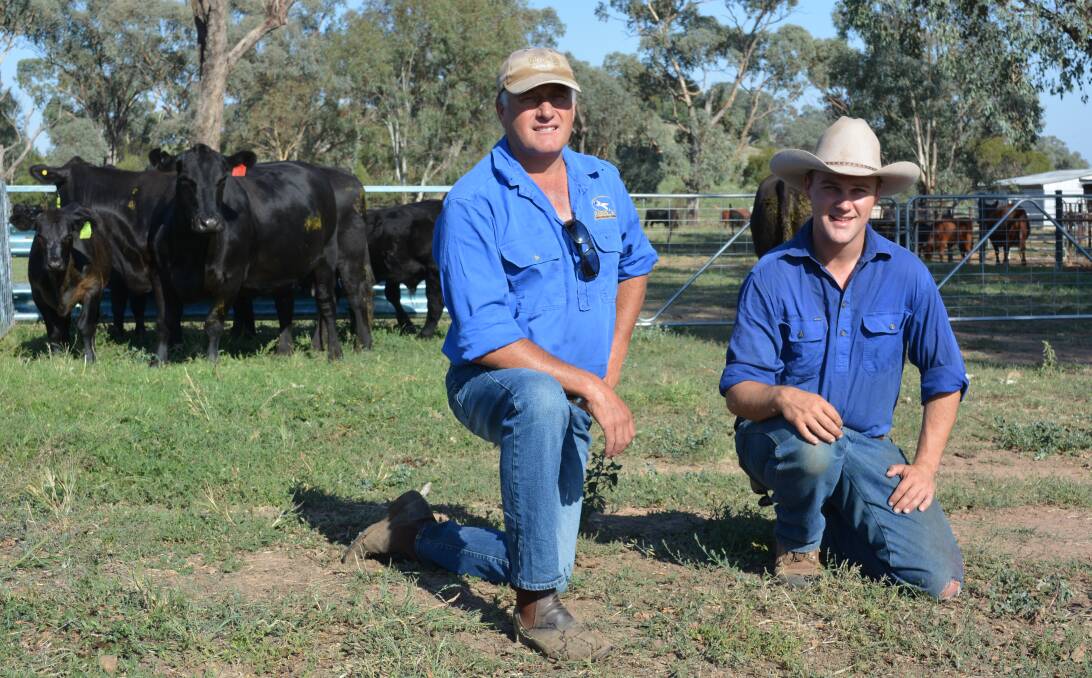 Coota Park Blue-E stud principal Jonathon Wright, Woodstock, and assistant manager Nick Hovey pictured with Blue E cows which were sold to Romani Pastoral Company, Harden, for use in an embryo program. 