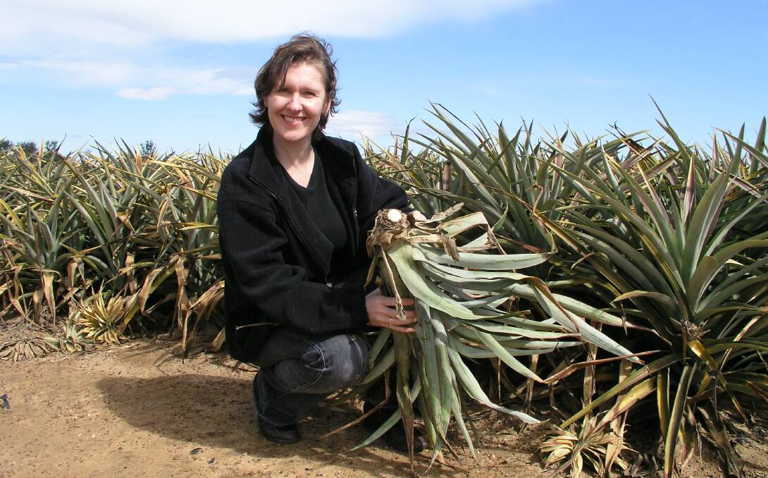 Anatara chief scientific officer Dr Tracey Mynott says enzymes contained in pineapple stems hold the key to curing scours in piglets.