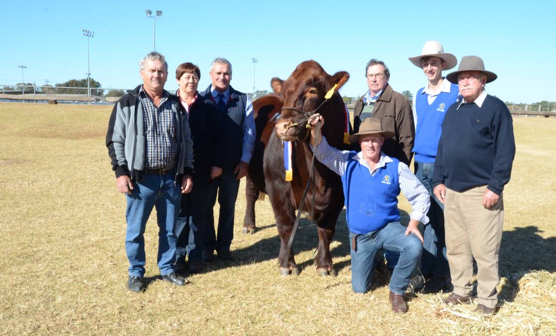 The grand champion bull  Bayview Usher L38 (P) sold for top price of $32,000 by partnership of Terra stud, Dubbo and Doolibah stud, Bunnan, near Scone. Pictured from left are Ken Williams, Mary and Terry Williams of Terra stud, Dubbo; the $32,000 grand champion, co-buyer Don Eather, Doolibah stud; Chris Thompson holds the bull with his son James, and father, Kevin, Bayview stud, Yorketown, South Australia.