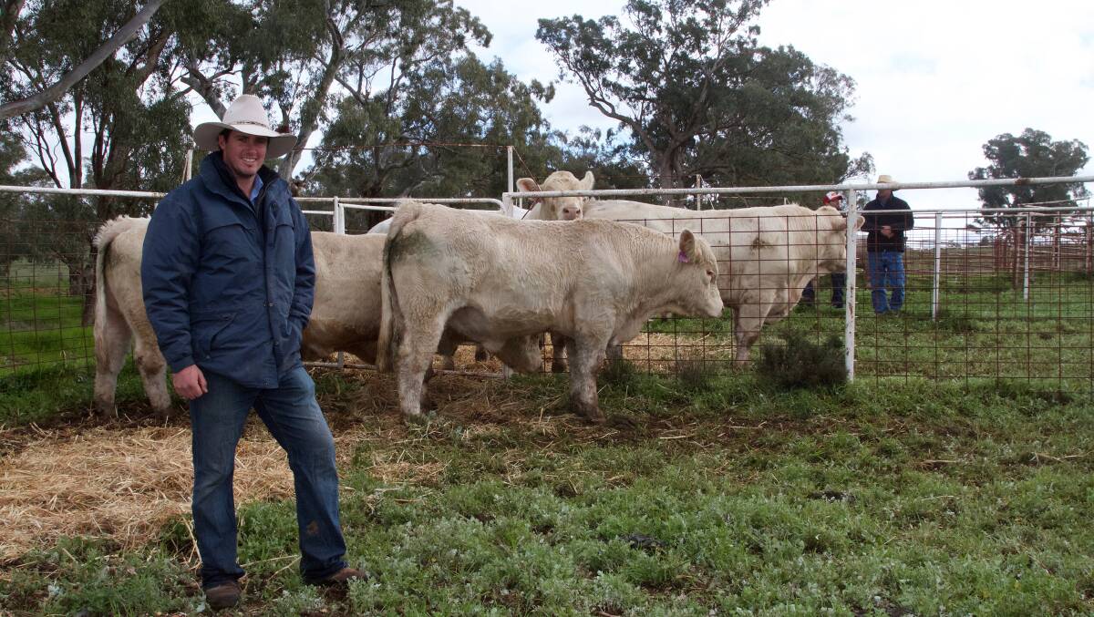 James Millner, Rosedale Charolais, welcomes the public to his family's Blayney property on Thursday as part of Southern Beef Week. Their planned showcase at their Dubbo property on Wednesday has been canceled.