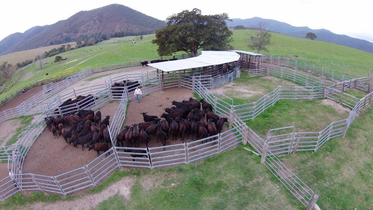 Towal Creek Station on the Macleay River recently sold for $4.9 million to an unnamed northern NSW grazier.
