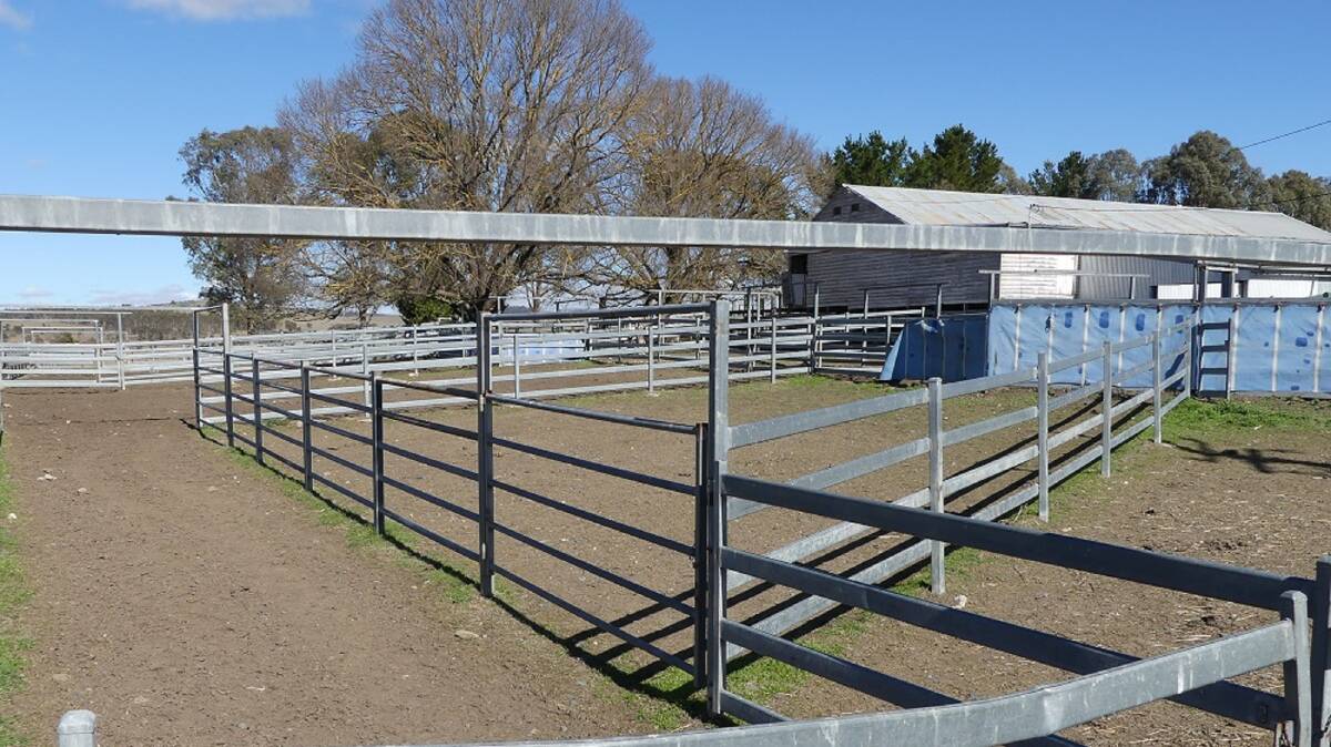 It has a good set of steel cattle yards as well as sheep yards and a wool shed.