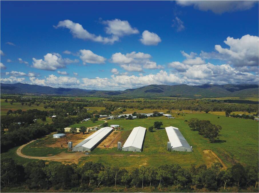 "Ruby Hill" at Kootingal near Tamworth will be auctioned on May 2 by agents Cushman and Wakefield.