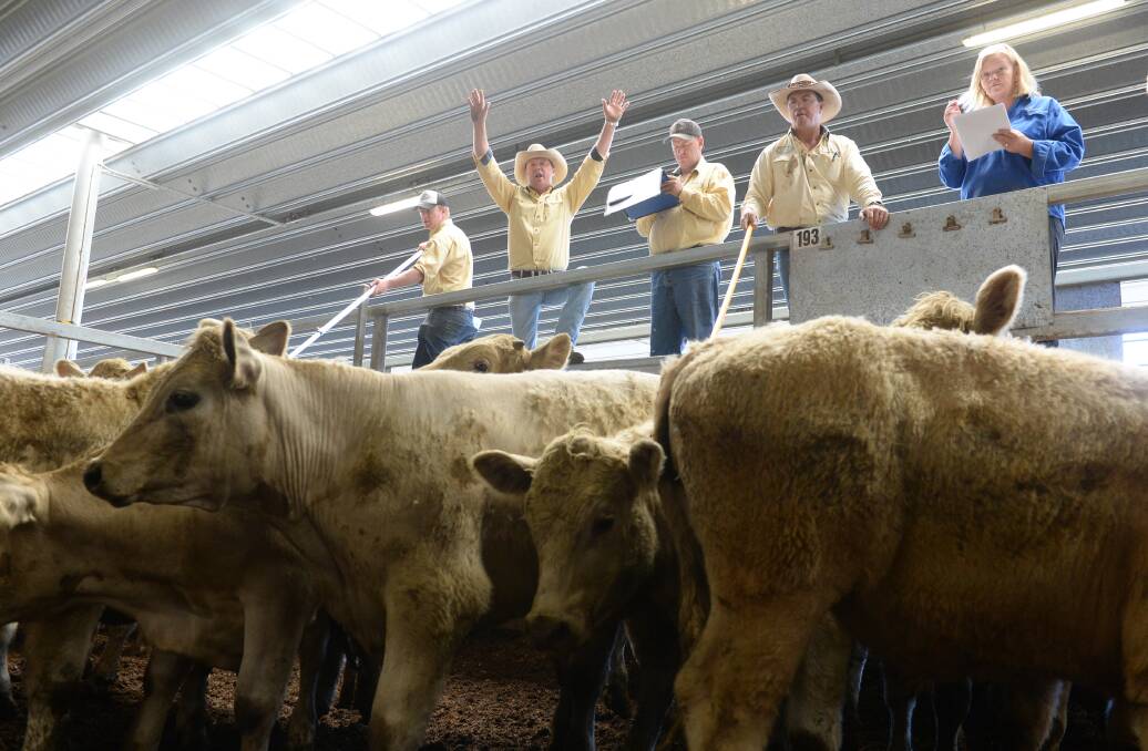 Ray White Rural’s yellow uniforms are now a hallmark of saleyards throughout the country but selling livestock wasn't in the initial business plan.