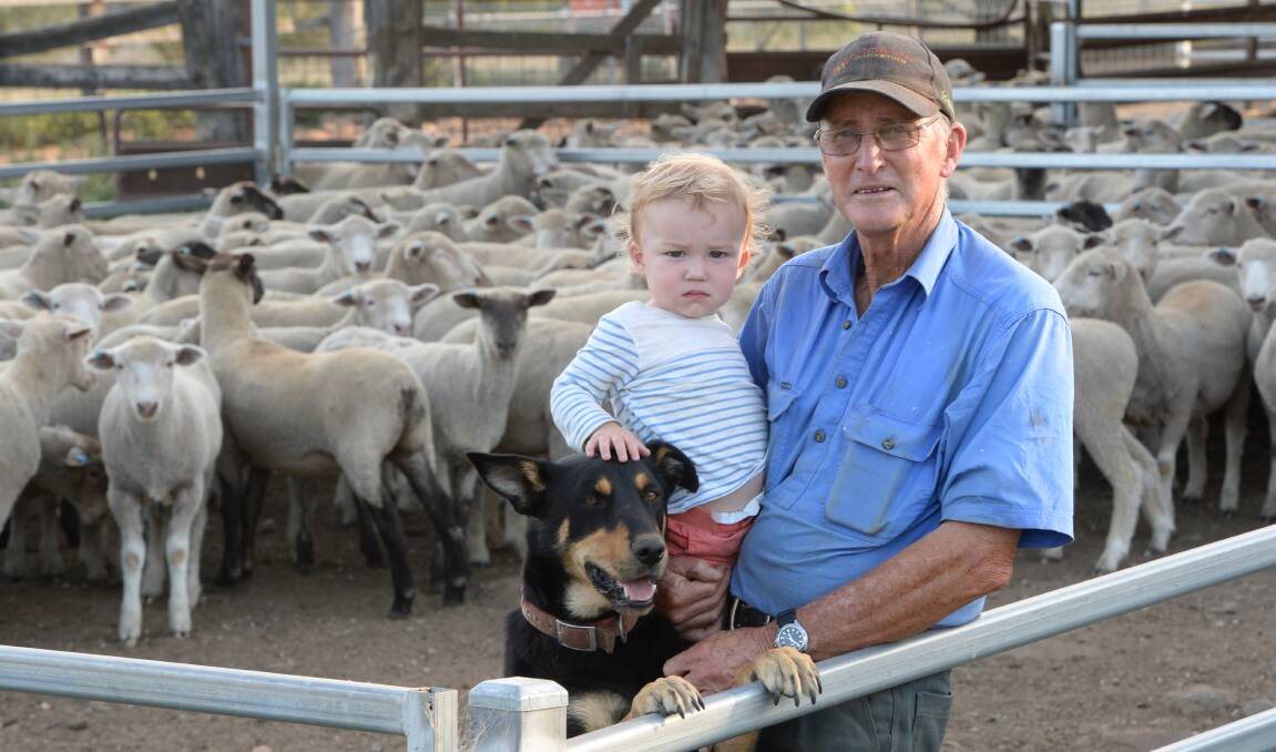Richard Dutton and his 19-month-old grandson Hugh Dutton, "Wellagalong", Duramana, pictured with their dog Kip and their second-cross lambs.