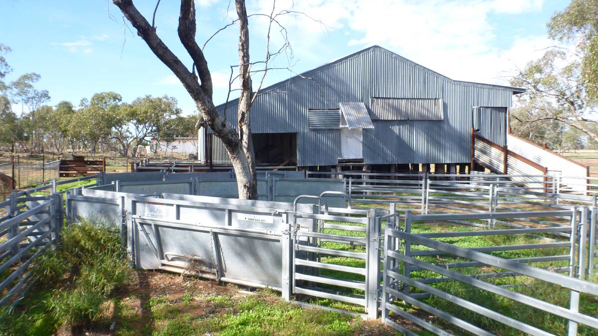 “Boonery”, situated 32 kilometres south of Brewarrina, has been listed for sale.