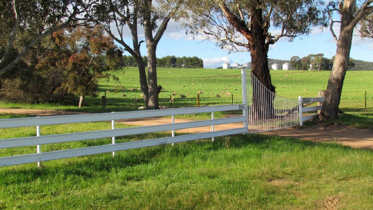 Improved pastures including lucerne, phalaris and clovers have been established over most of the property.
