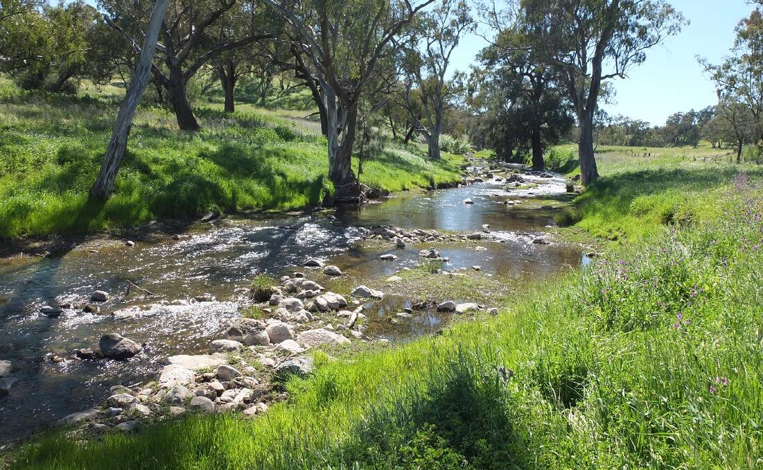 Water is a feature of the property, with average rainfall of about 660mm and generous frontages to both the Boree Creek and Bourimbla Creek.