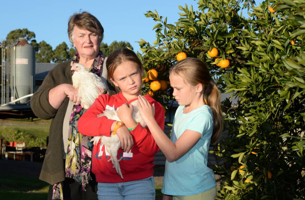 Chicken meat farmer Lorraine Wilson, Wyuna Farms, Kulnura, with grand-daughters Zoe and Megan Wilson, wants a fair go from processors and supermarkets.