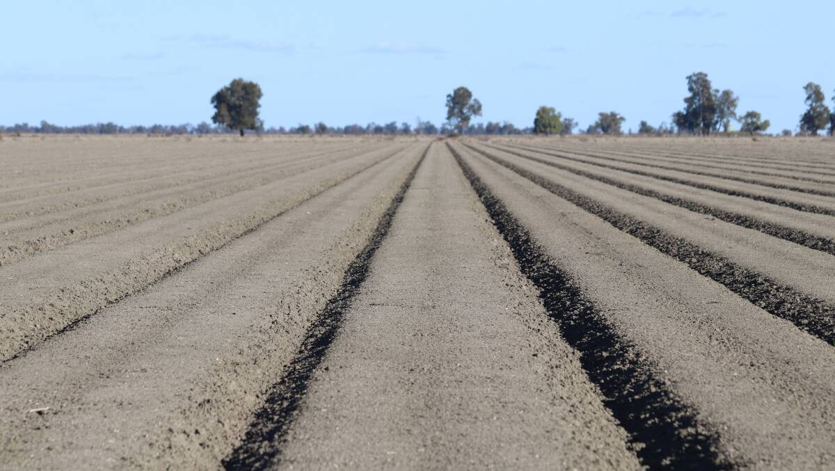 The 350ha of row-crop irrigation development undertaken so far has been laid out under a professionally designed whole-farm plan, which allows for a potential doubling of the developed area.