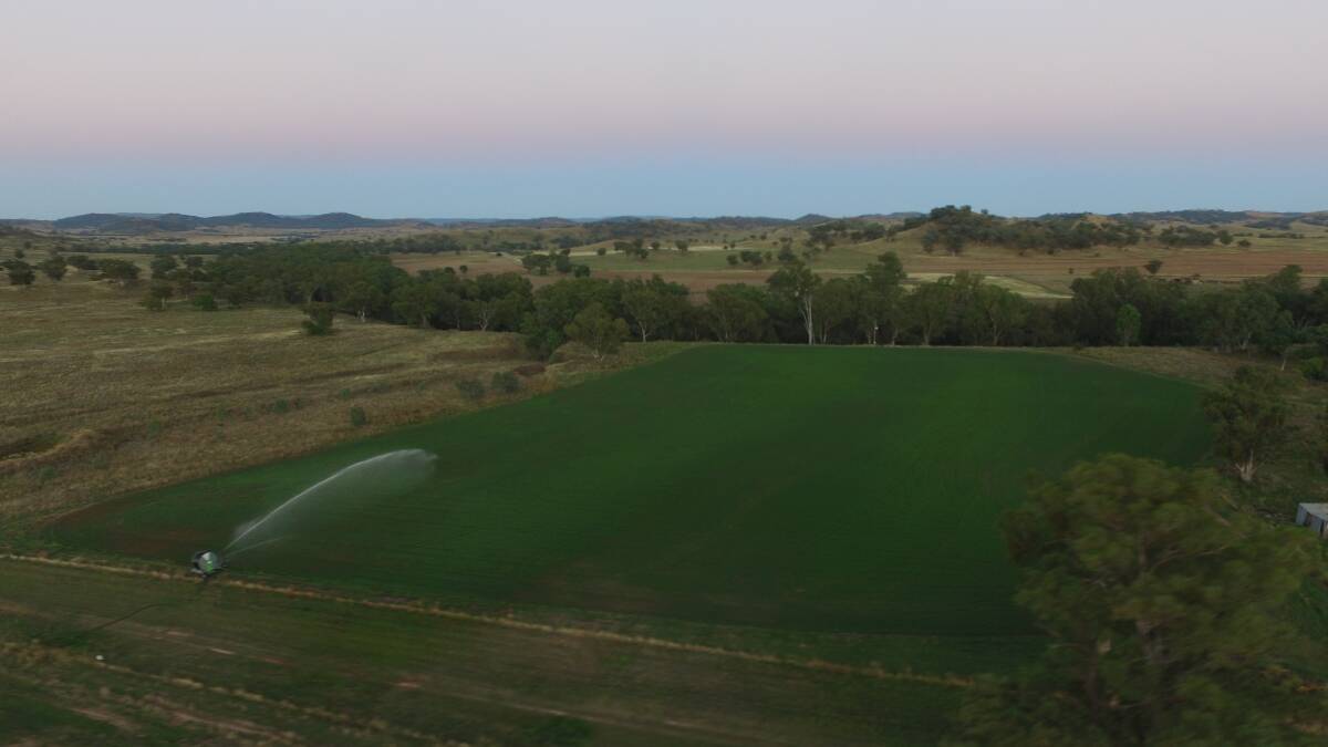 A key feature of the property is its 1.5km deep-water frontage to the Namoi River.