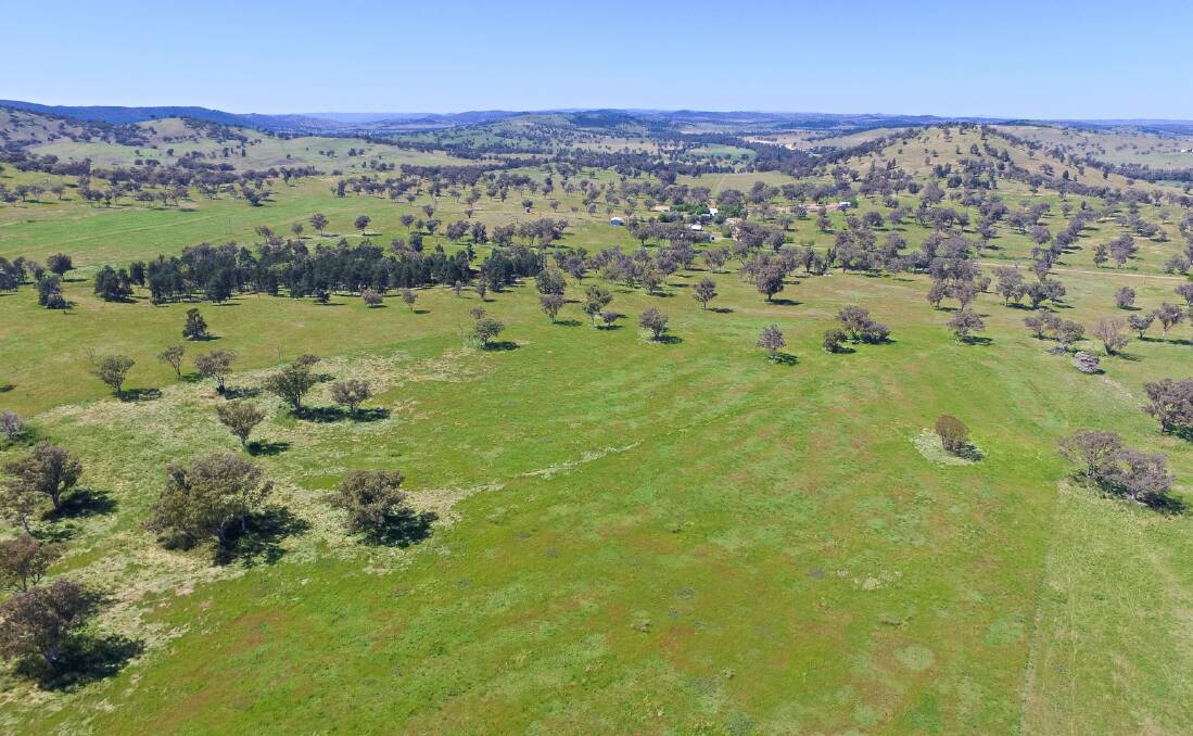 Although up to 250ha of the property has been cropped in the past, present focus is on pasture renovation.