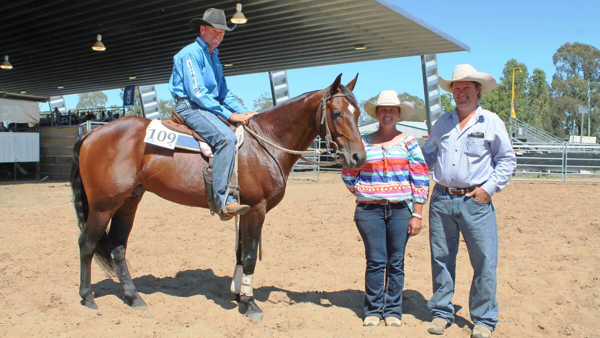 Mark Buttsworth of Kingaroy atop the $20,000 top-priced stallion, Almora Pop A Top and vendors Sal and James Morse, Wongalee, Molong, NSW at Dalby ASH sale.