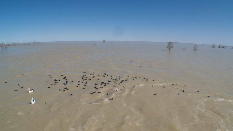  The Copi Hollow channel in full flood, running into Lake Menindee. File photo.