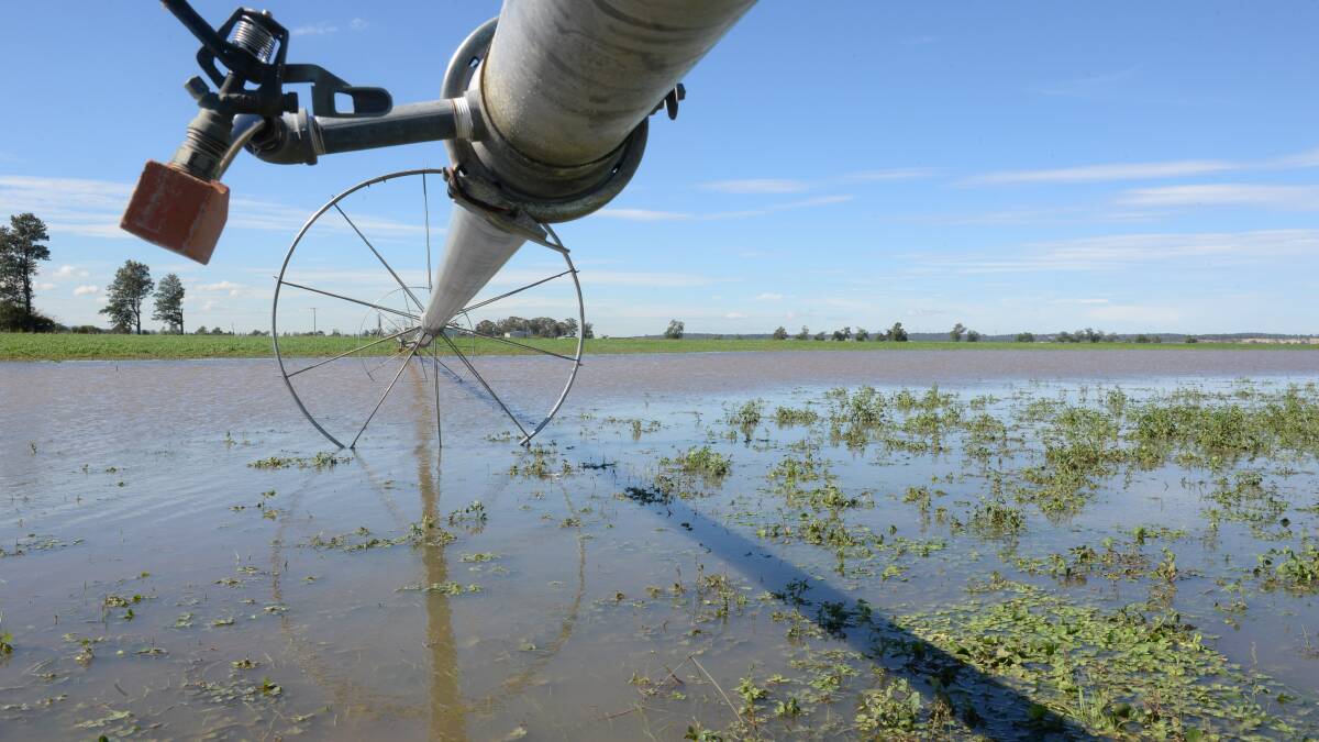 High water for Basin irrigation buybacks​