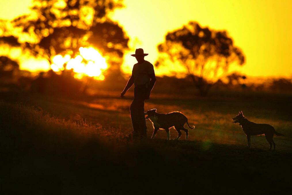 Farmers must lead debate after dog ban