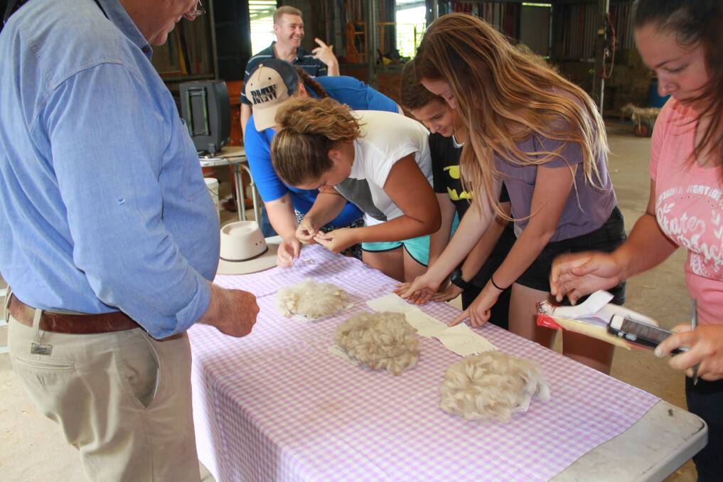 Alpaca fleeces are an important part of the industry, and kids learn all about it at camp.