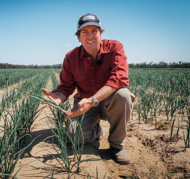 NSW Farmer of the Year Ed Fagan, here in a field of onions, has scoured the world for technologies that enable his family's Mulyan Farm to successfully run multiple enterprises.