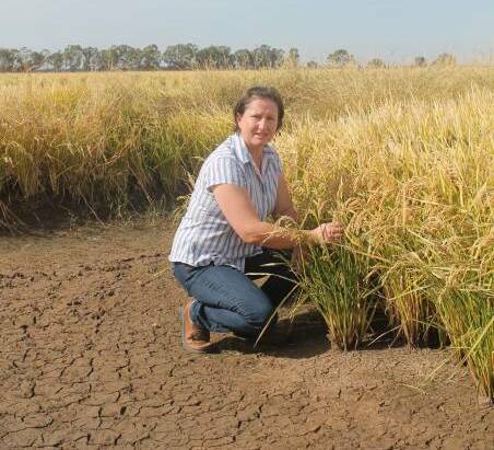 Ricegrower Shelley Scoullar. Picture by Andrew Miller.