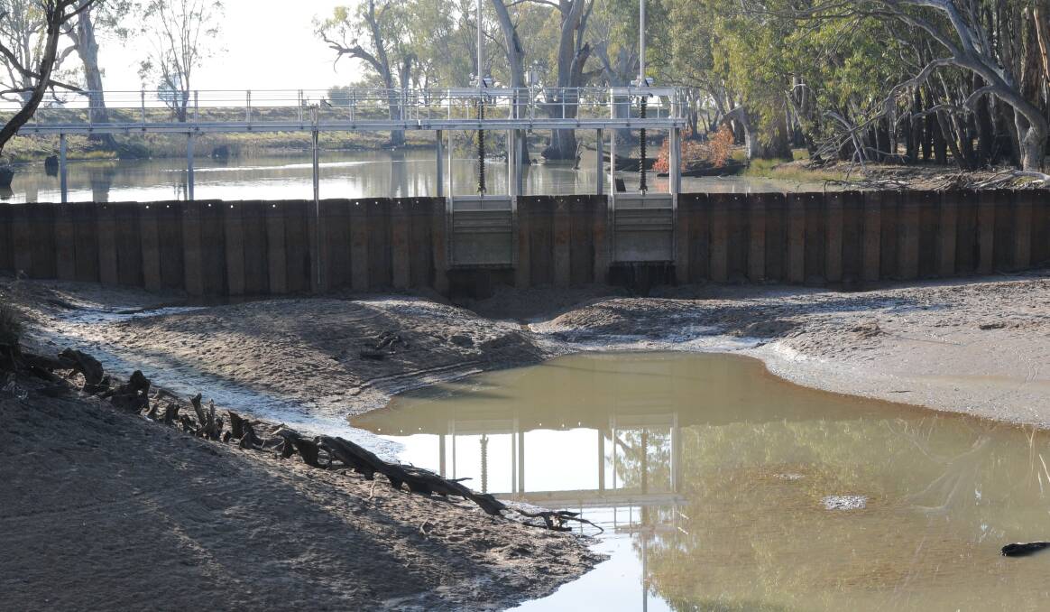 New initiatives to boost Murray Darling river health should be on the governments agenda, NSW Irrigators say.