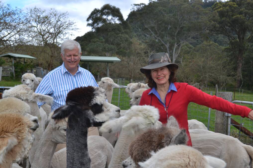 Coolawarra Alpaca principals Dr Ian Davison and Janie Hicks, pictured here getting amongst their stock on their Cambewarra property, were the driving force behind alpaca youth camps.