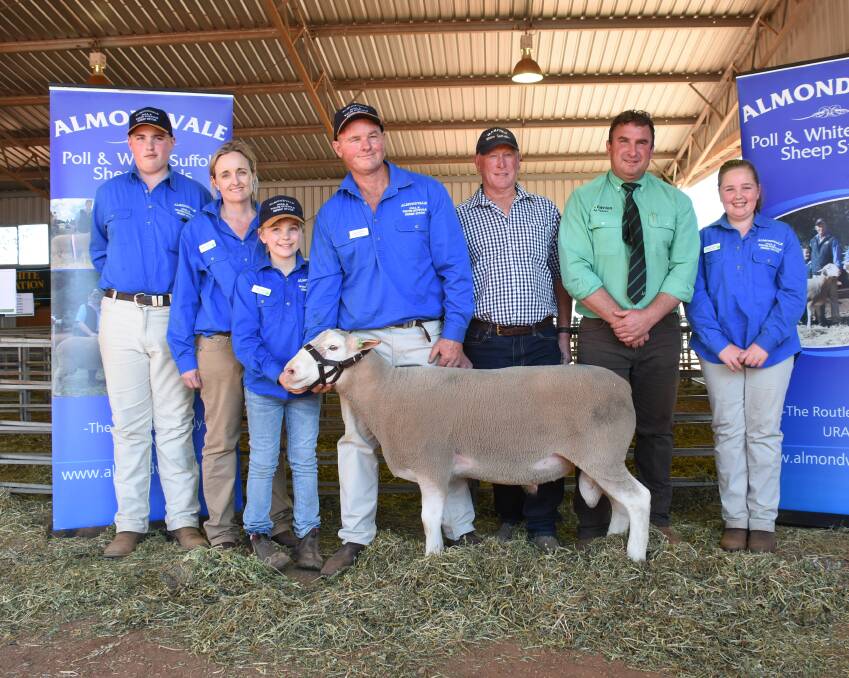 The Routley family, Doug Combe, Manfred White Suffolks, Hay, Tim Woodham, Nutrien Studstock with the top priced White Suffolk ram. 