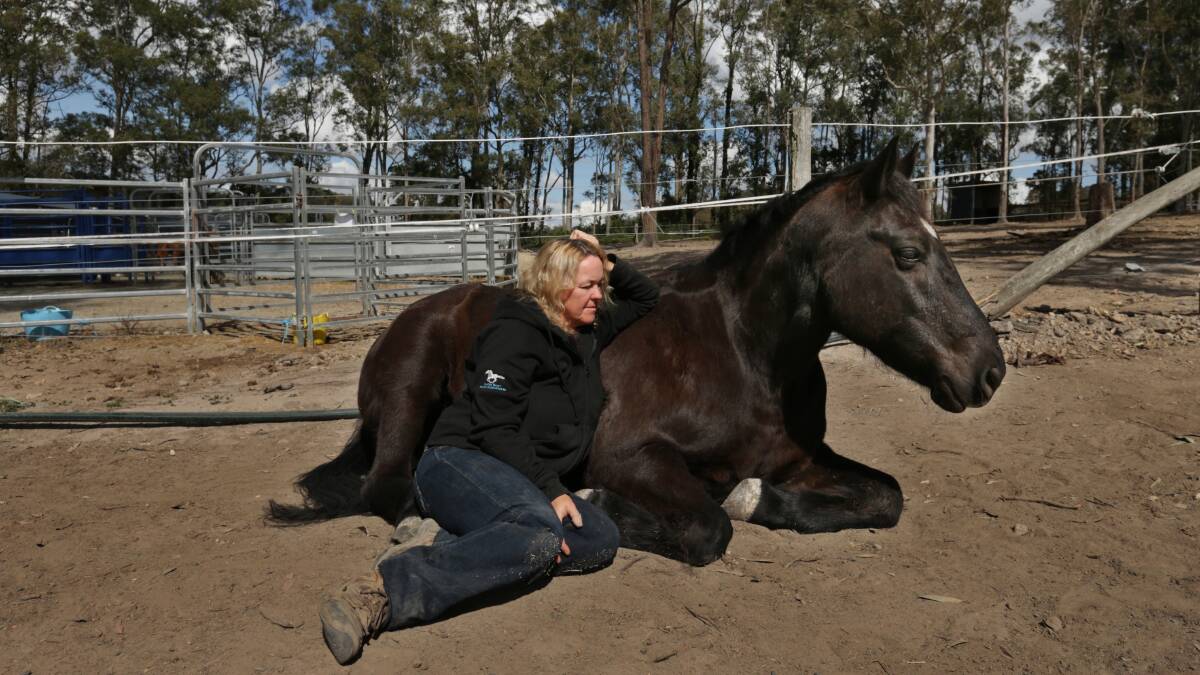 PASSION: Kathryn Massey started Hunter Valley Brumby Association in 2009. Picture: Simone De Peak