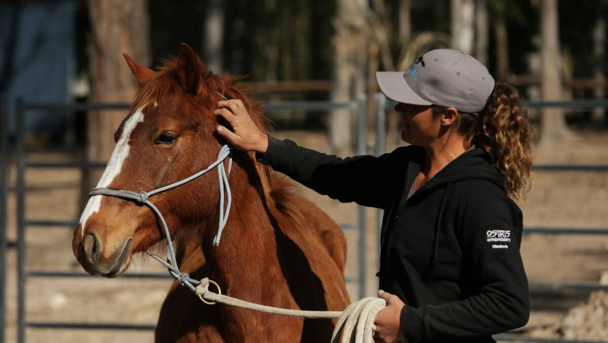 TOUCH: Billy Fish with her brumby, Tess, during work. Picture: Simone De Peak