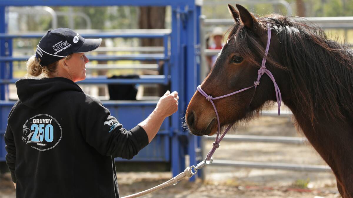 CONNECTION: Kathryn Massey in the yard with a brumby. Picture: Simone De Peak