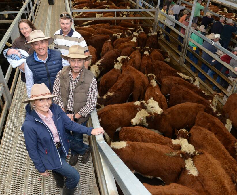 Whiteface cattle have the upper-hand according to Maria, Alf and Rick Cocco, with property manager's Jim, Rebecca and Cody (seven months) Roberts, "Kareela", Oberon. 