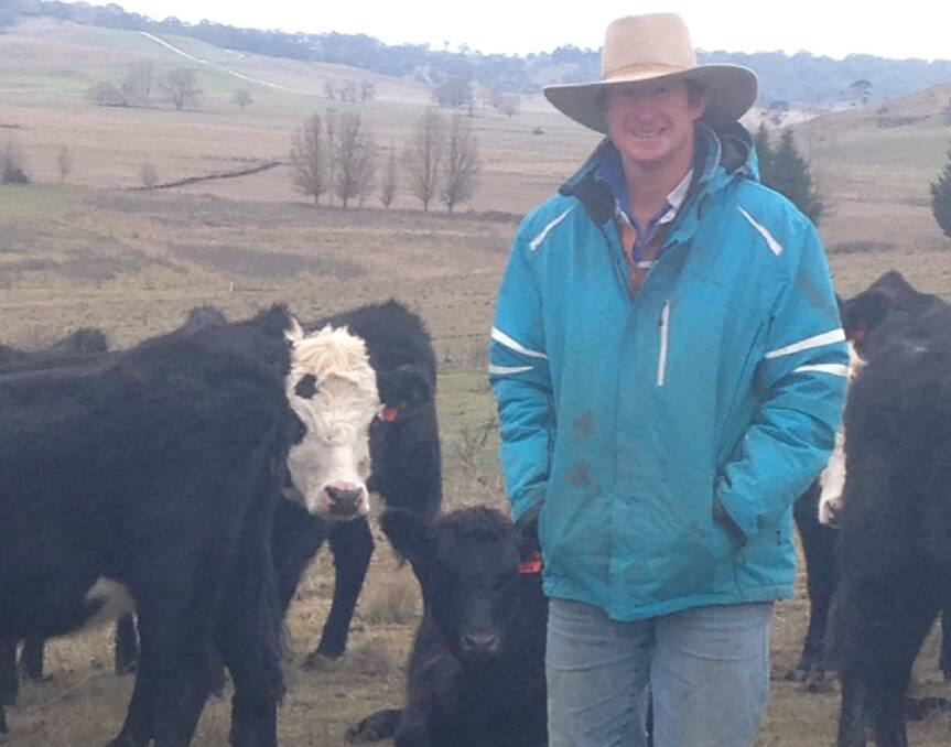 Bill Perrottet, Urandangie Pastoral, Guyra, achieved his herd of black baldy cattle with a mixed genetic base joined with Angus and Hereford bulls. 