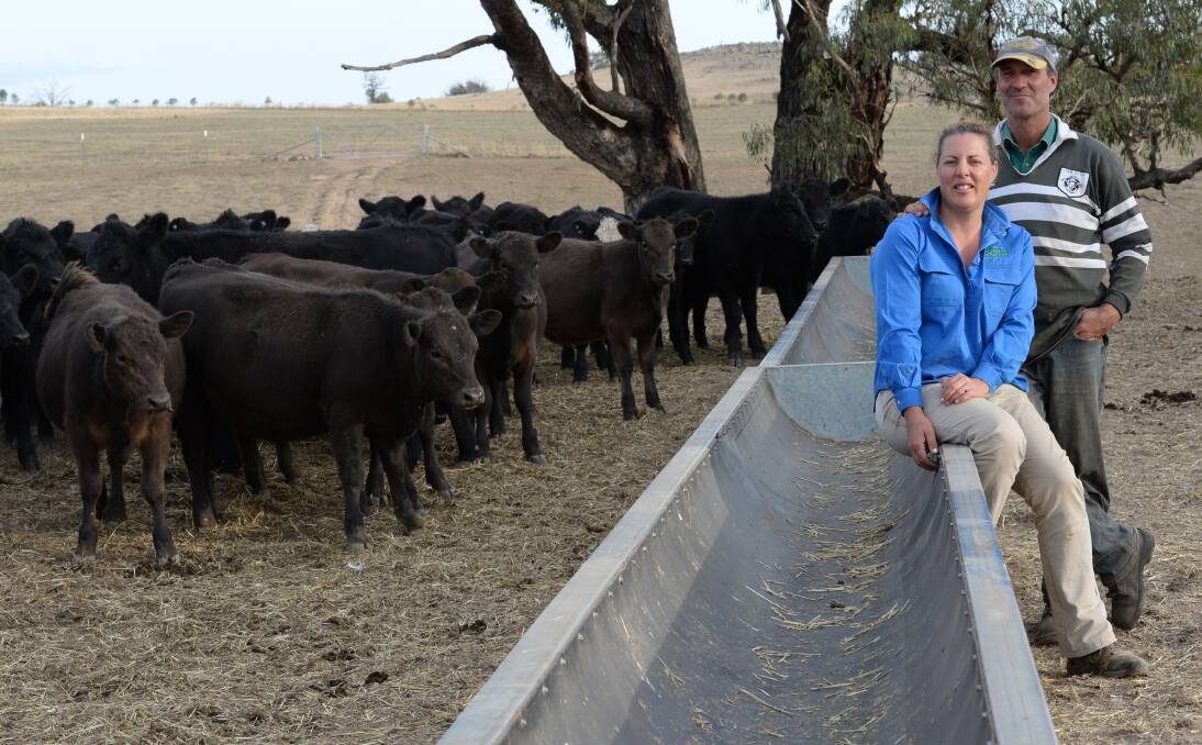 David Young and his wife Jan on their property "Tekooti", Bookham, which has been home to eight generations, with their Angus weaners, which are turned off at about 400 kilograms and generally sold through the Wagga saleyards.  
