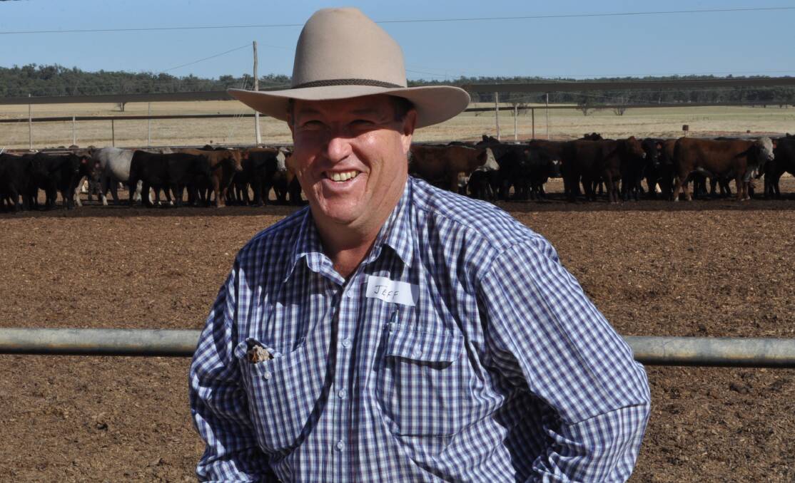 Jeff House, principal of Jeff House Livestock, Forbes, advises producers that unless a protein supplement is incorporated into livestock nutrition at this time of year, dry pastures will not be utilised and stock can lose weight and fertility. 