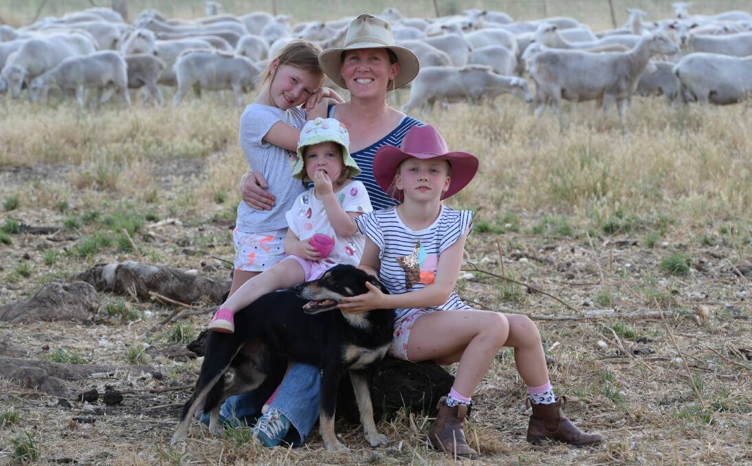 Anna Dunlop, "Munna", Coolah, with her daughters (standing) Heidi, 6, Isabella, 2, Claudia, 7 and Boss the dog checking their Wiltipoll ewes and four month-old lambs. 